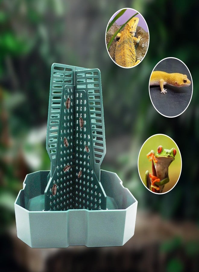MHLLGN Bearded Dragon Tank Accessories, Lizard Feeder, Reptile Food Cup, Dubia Roaches Organizer with Column for Prey to Climb and Move, Food Bowl for Bearded Dragon, Gecko, Frog - Image 4